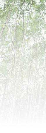 �C���[�W�i�X�j